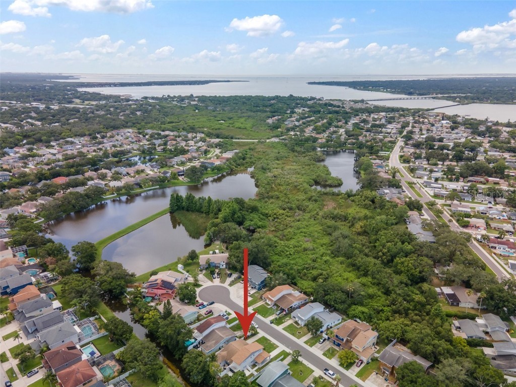 1712 Azalea Court #A Oldsmar FL 34677 TB8401279 image29