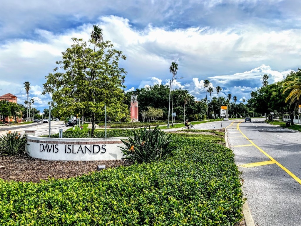 1712 Azalea Court #A Oldsmar FL 34677 TB8401279 image41