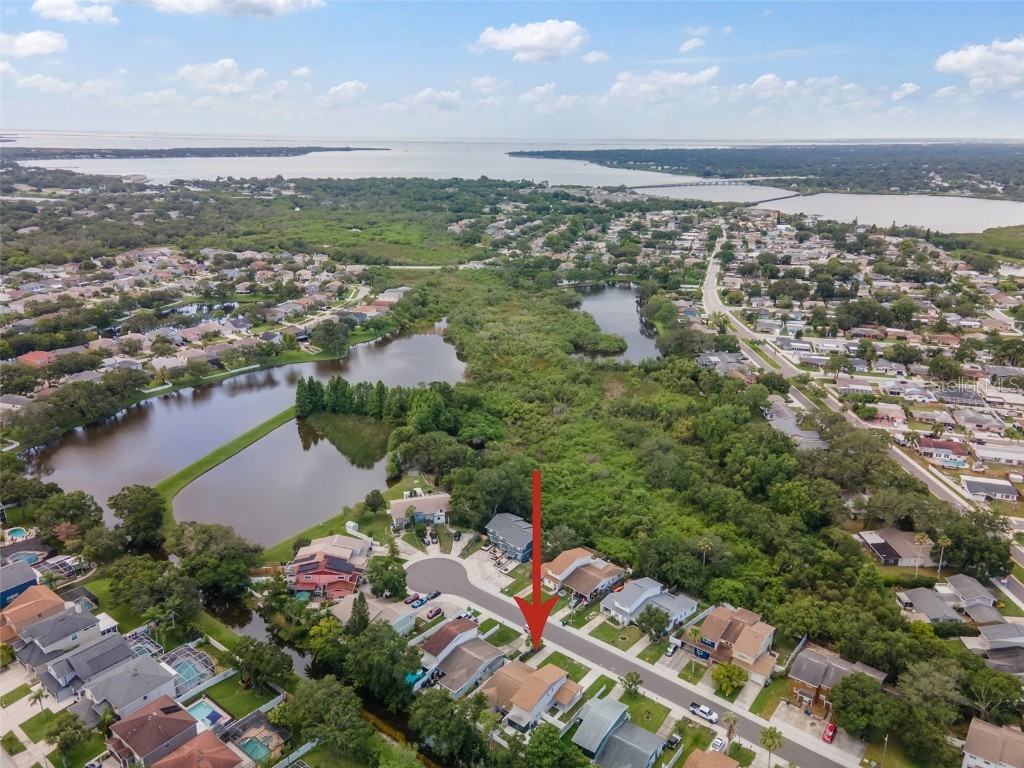 1712 Azalea Court #B Oldsmar FL 34677 TB8401434 image22