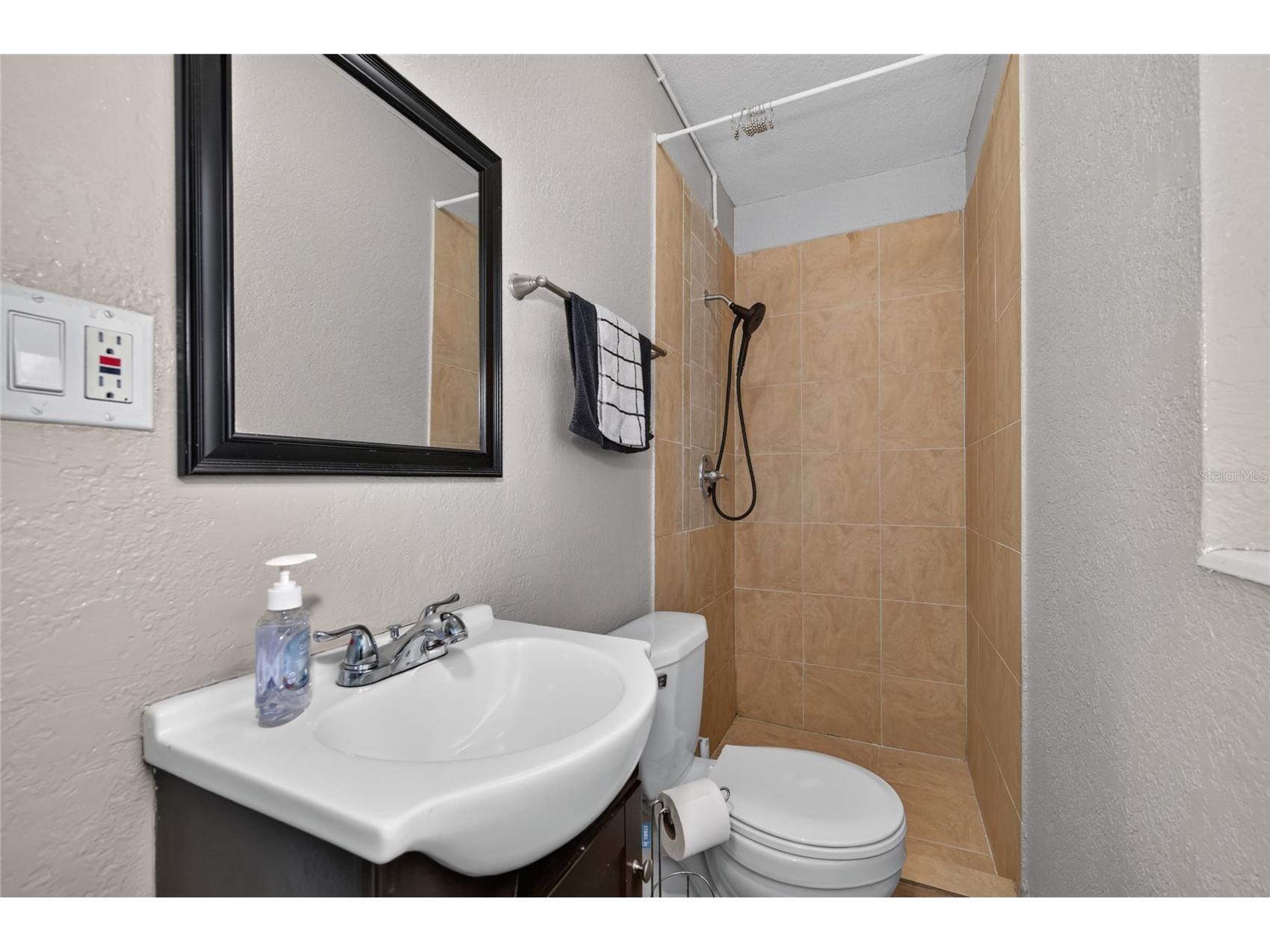 1712 Lake Brown Drive Haines City FL 33844 P4939327 image20