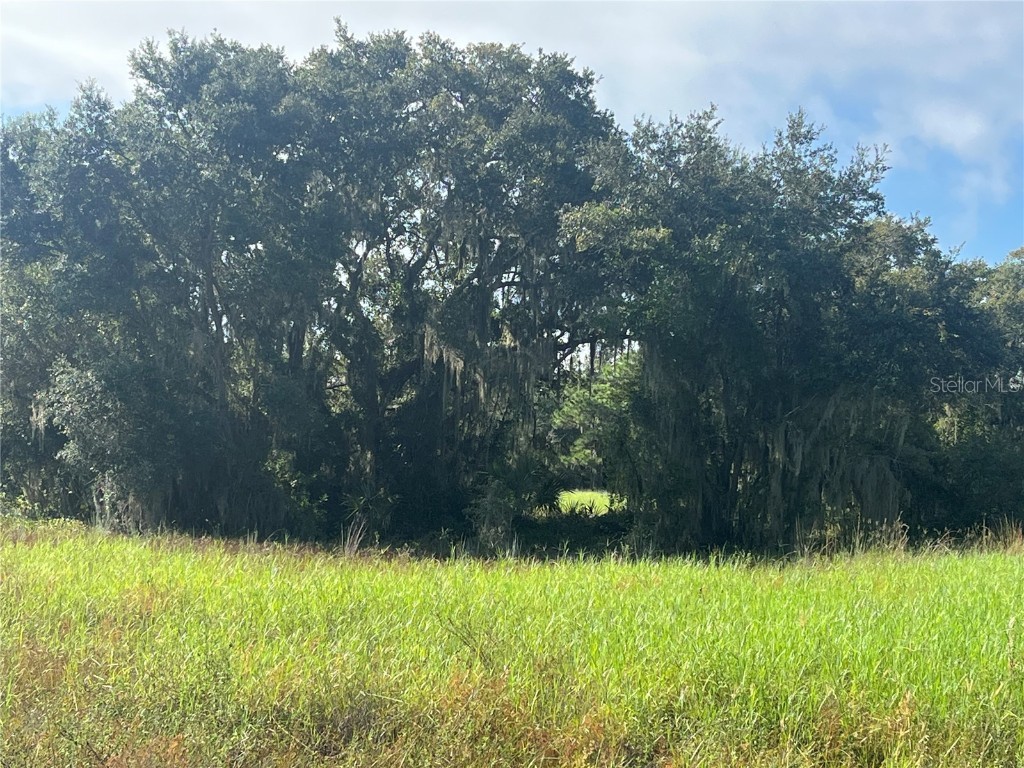 1712 Mcarthur Avenue Lehigh Acres FL 33972 OK224461 image1