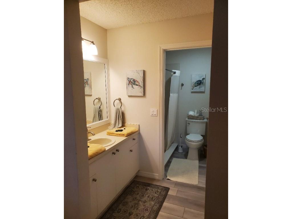 1712 Morelos Road The Villages FL 32159 W7879135 image10