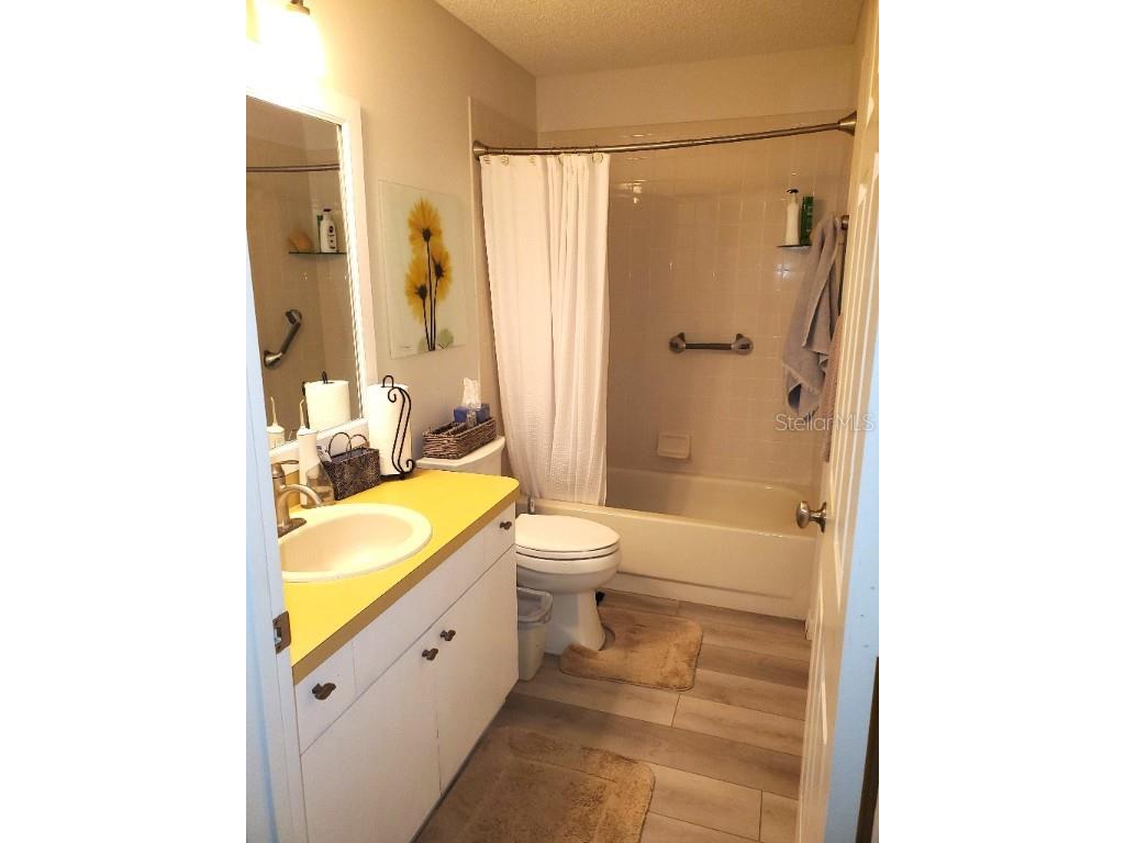 1712 Morelos Road The Villages FL 32159 W7879135 image7