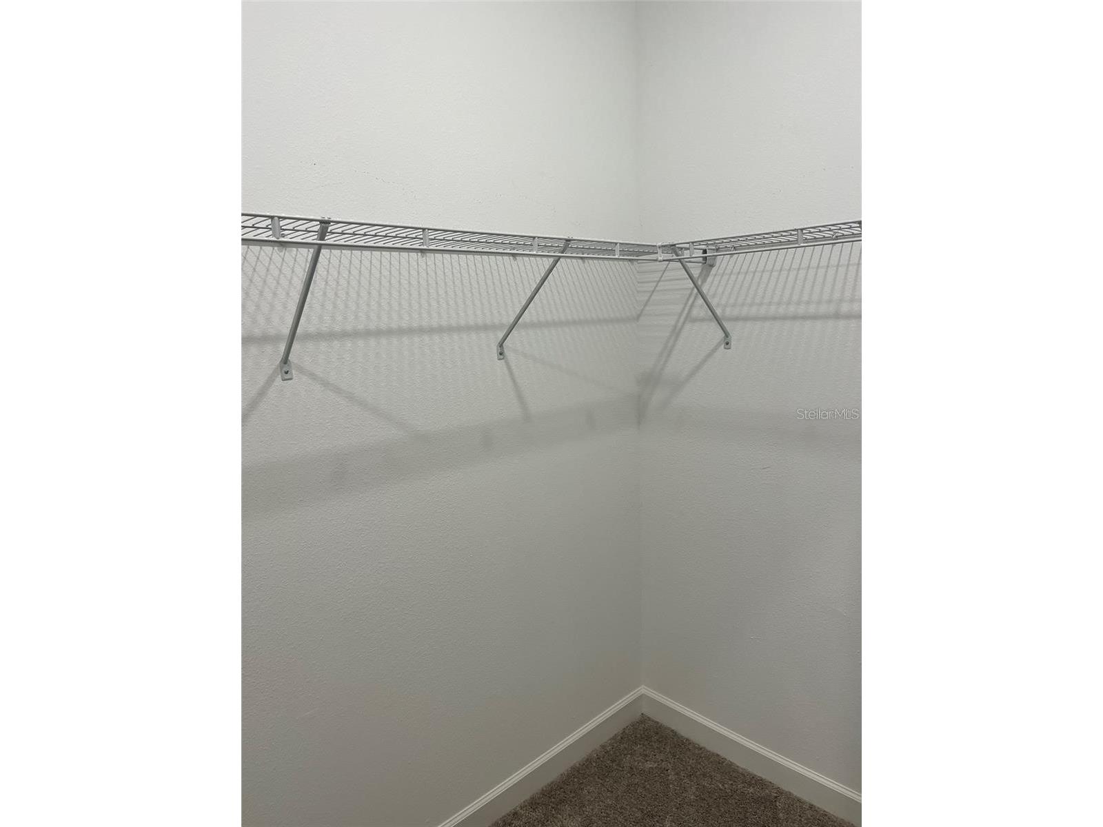1712 Roseville Street Lutz FL 33549 TB8495458 image15