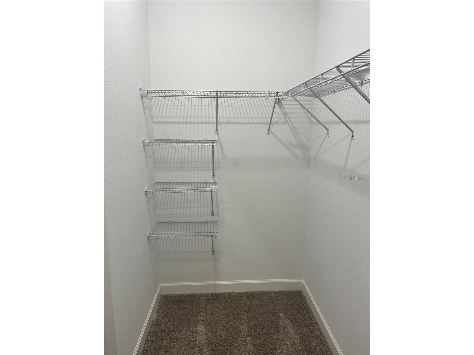 1712 Roseville Street Lutz FL 33549 TB8495458 image16