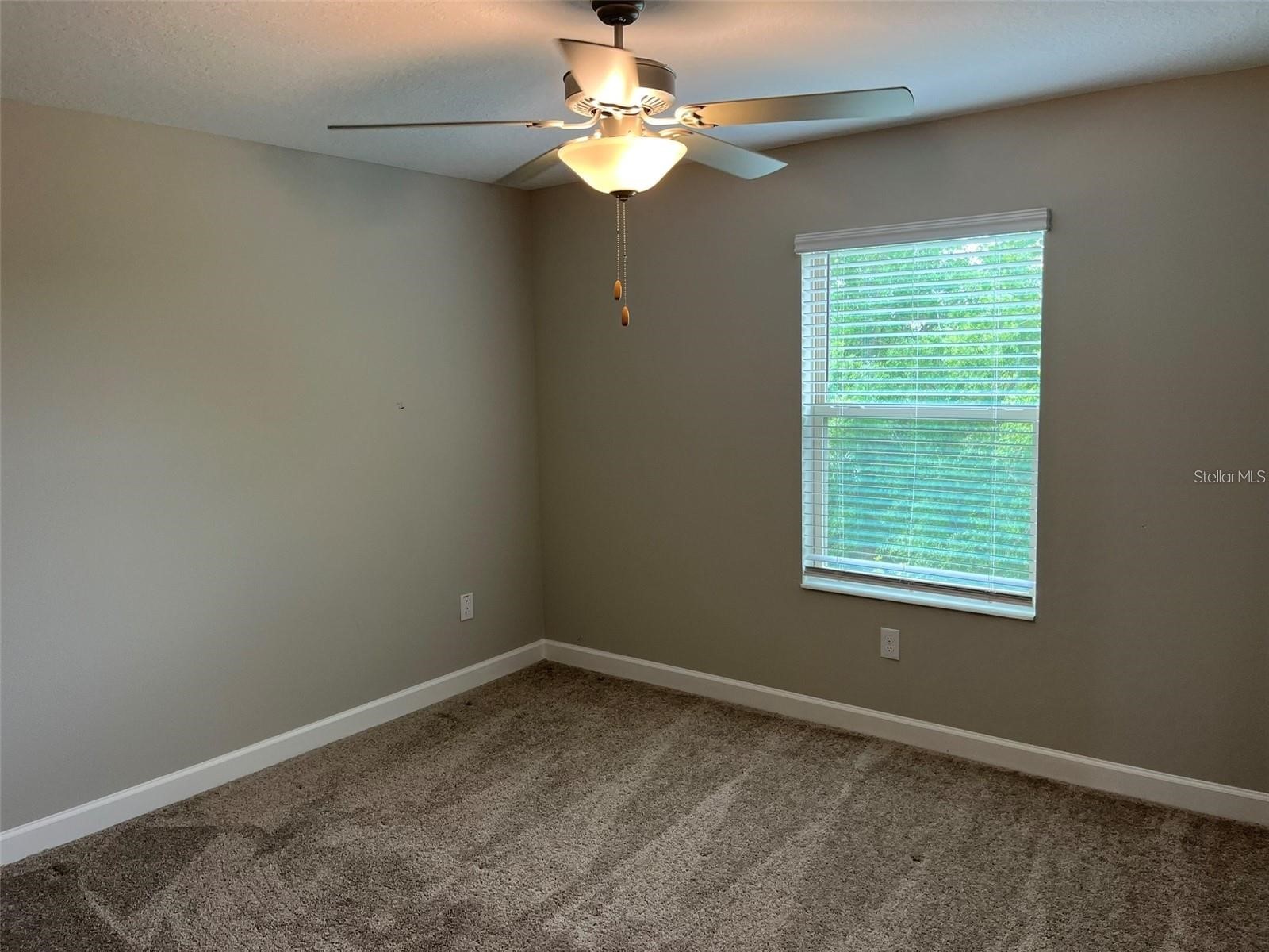 1712 Roseville Street Lutz FL 33549 TB8495458 image22