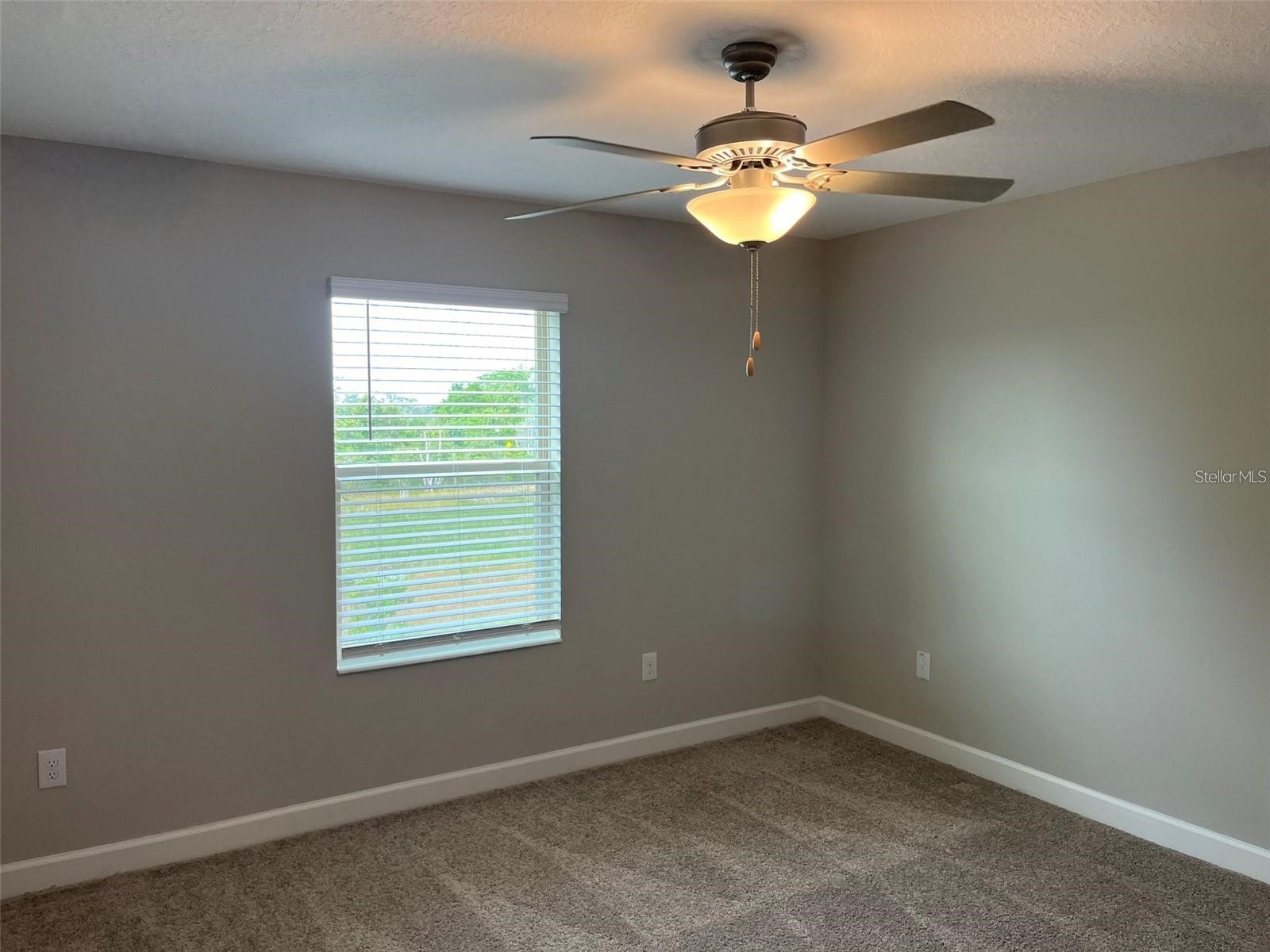 1712 Roseville Street Lutz FL 33549 TB8495458 image23