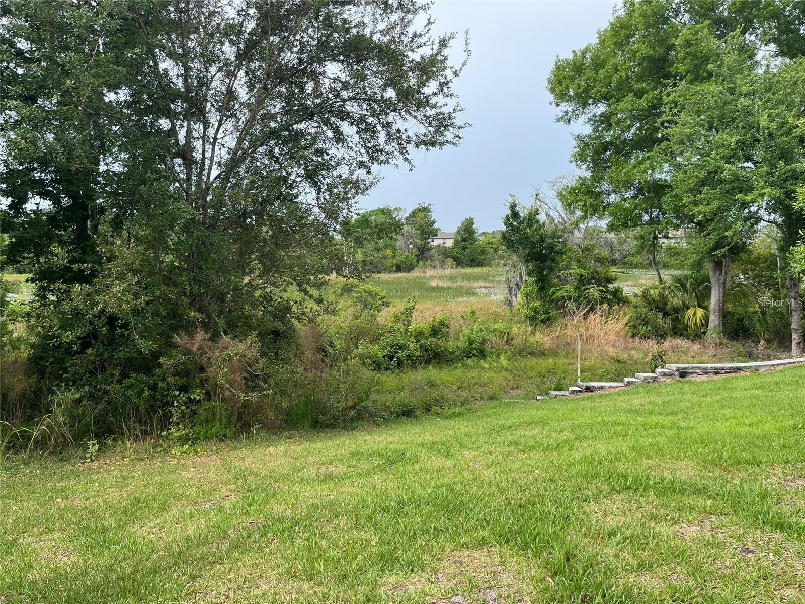 1712 Roseville Street Lutz FL 33549 TB8495458 image28