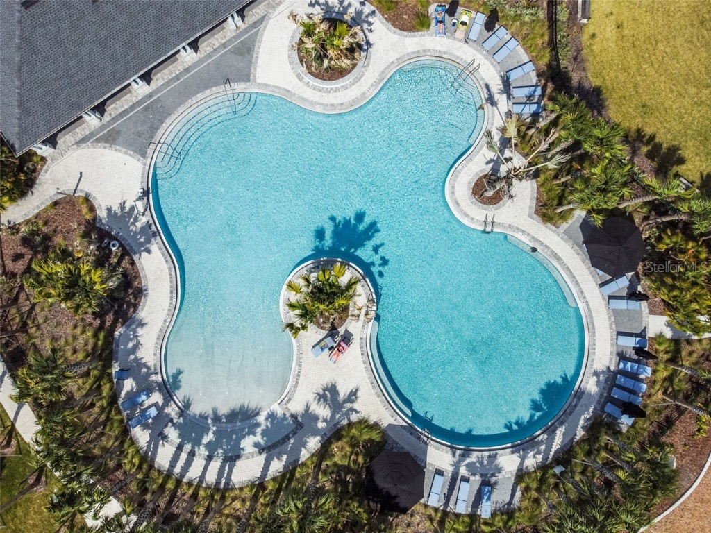 1712 Tropical Oasis Avenue Plant City FL 33565 TB8453004 image97