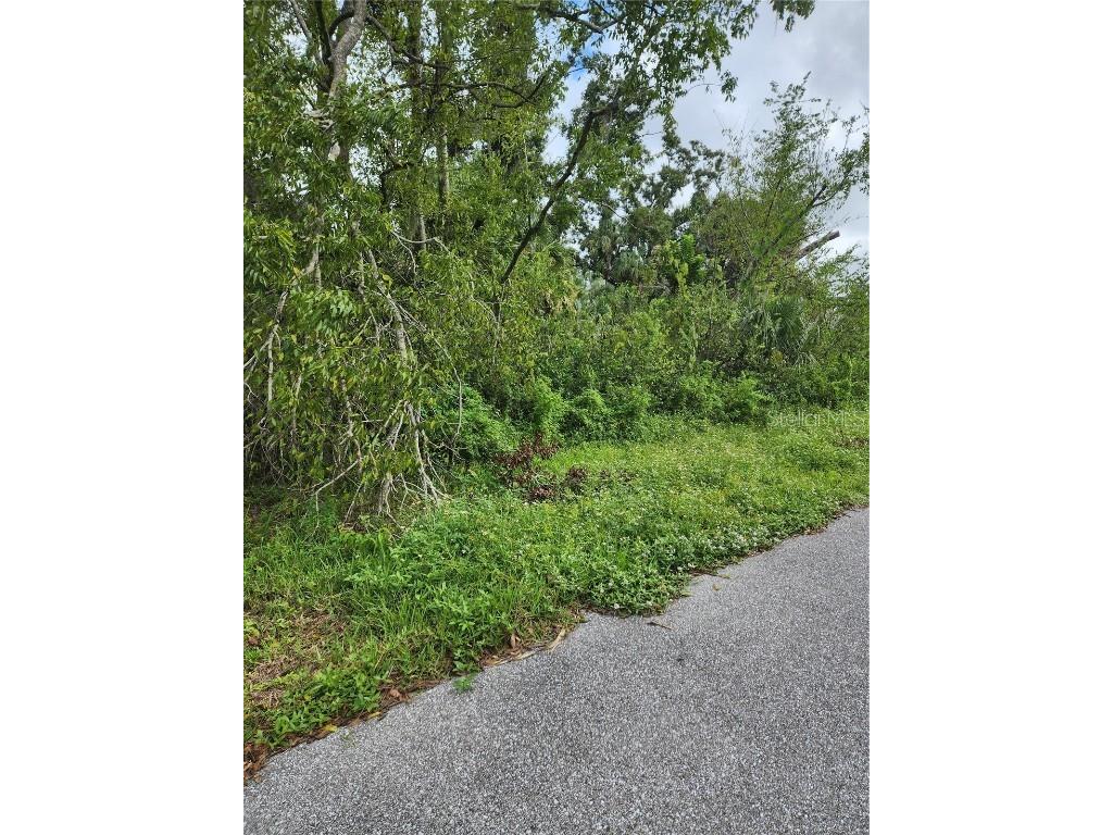 17120 Russell Avenue Port Charlotte FL 33954 C7498886 image1