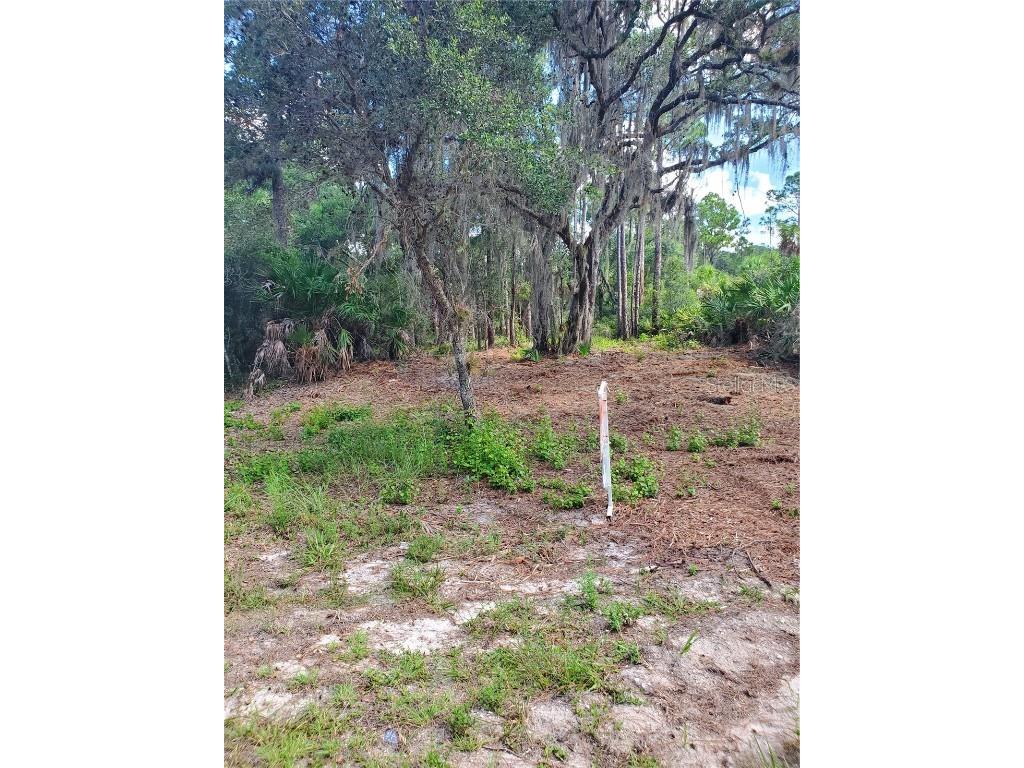 17122 Arthur Avenue Port Charlotte FL 33948 D6126405 image1