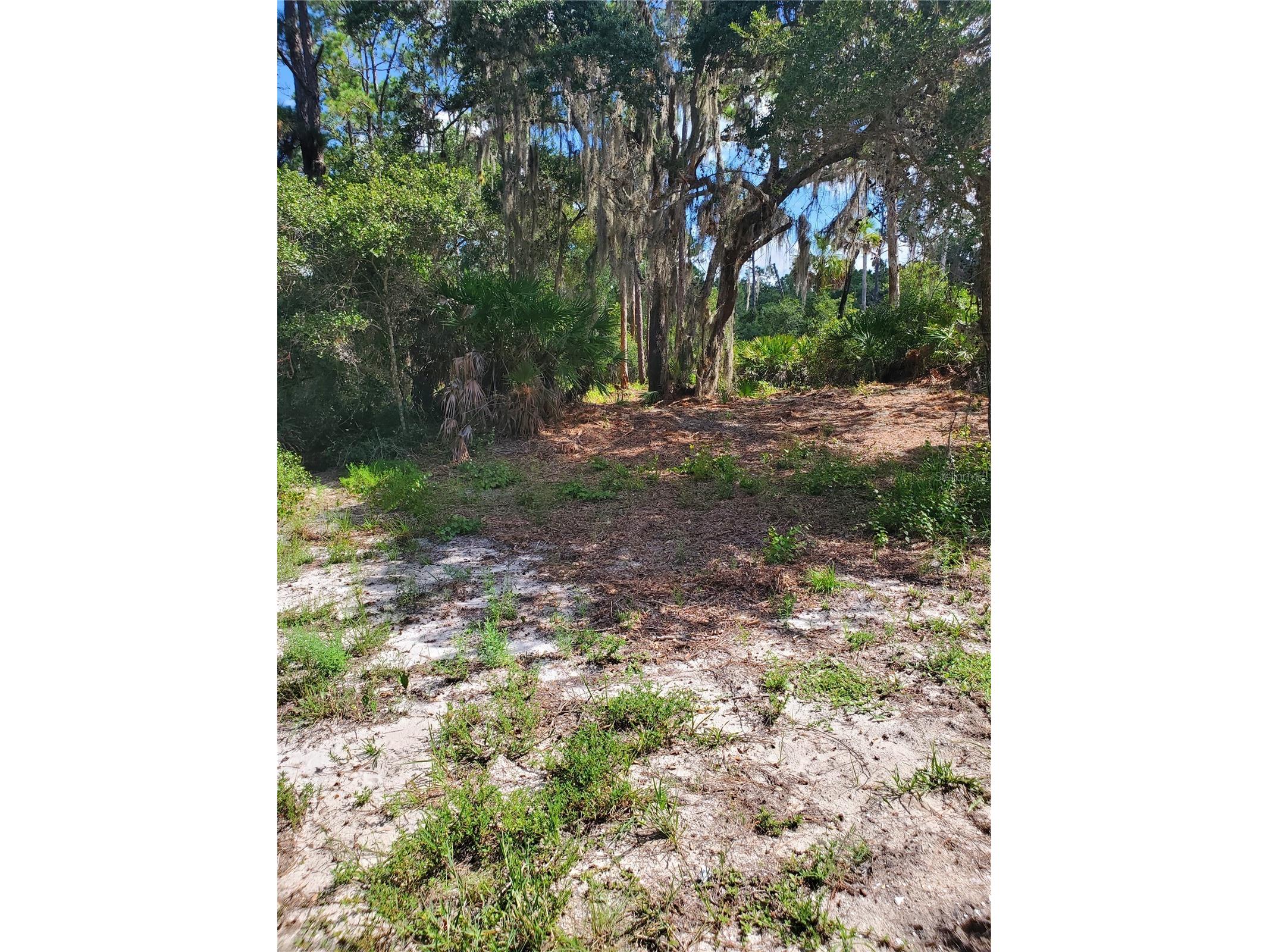 17122 Arthur Avenue Port Charlotte FL 33948 D6146192 image2