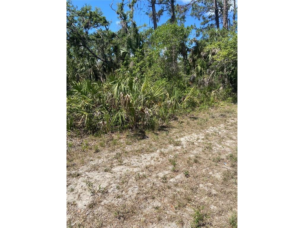 17123 Hemlock Ave Port Charlotte FL 33948 C7489544 image2