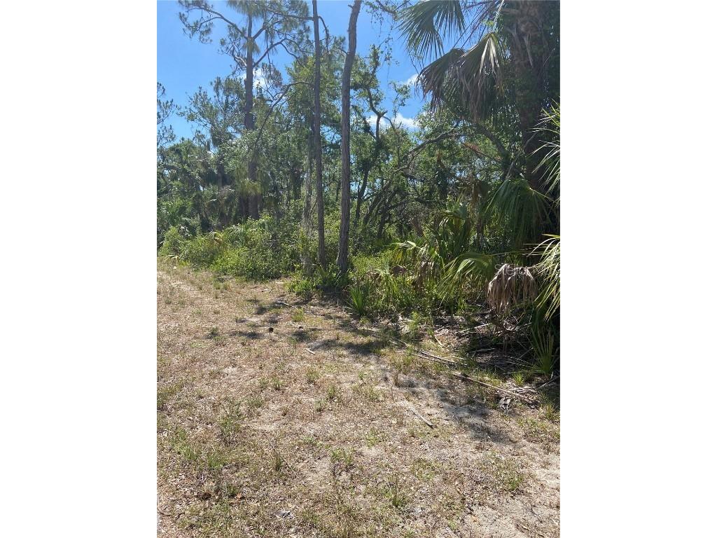 17123 Hemlock Ave Port Charlotte FL 33948 C7489544 image5