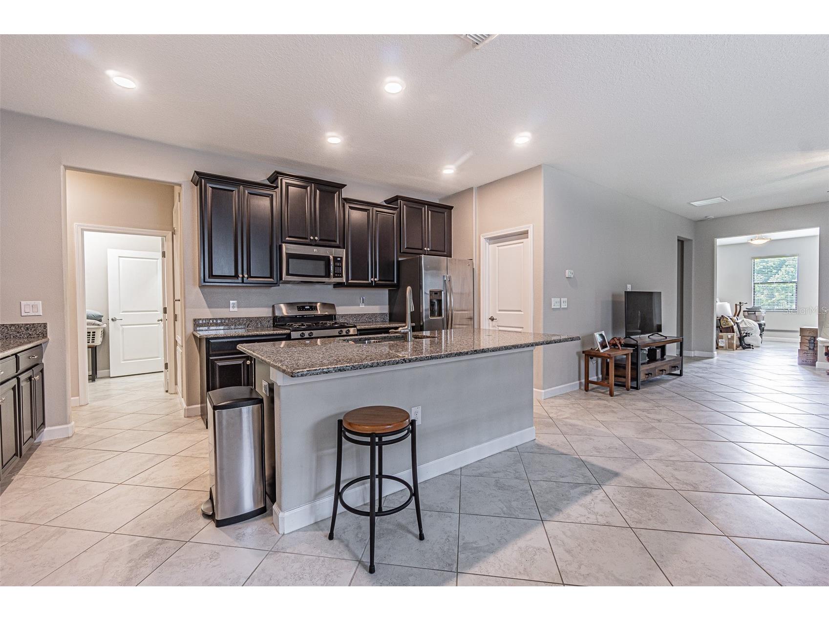 17124 Balance Cove Land O Lakes FL 34638 TB8417708 image12