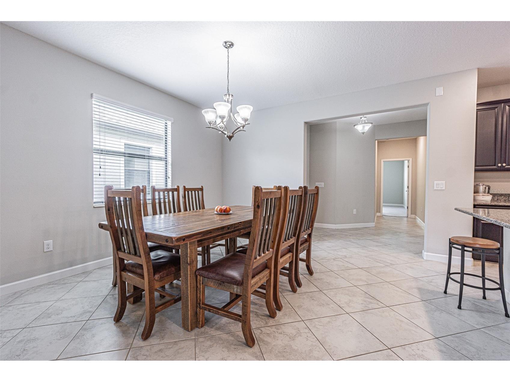 17124 Balance Cove Land O Lakes FL 34638 TB8417708 image15