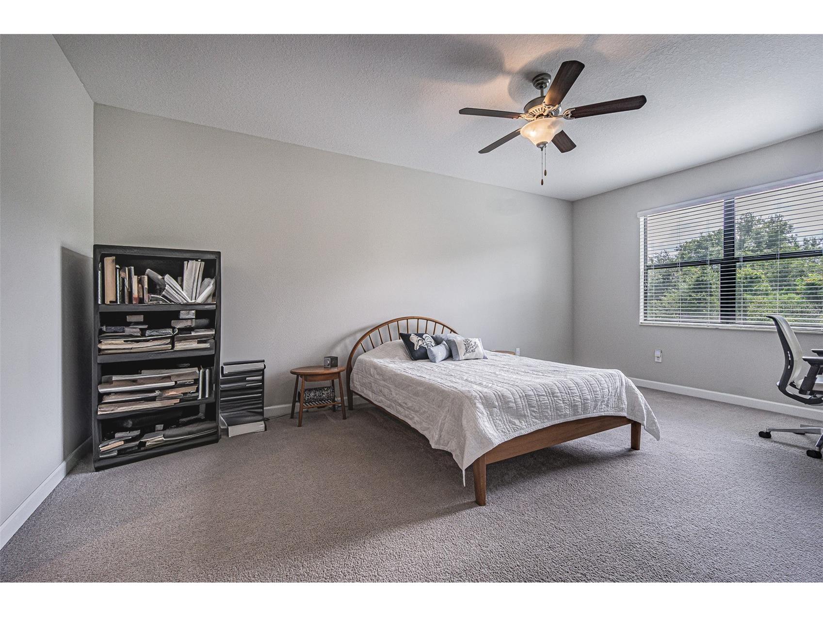 17124 Balance Cove Land O Lakes FL 34638 TB8417708 image18