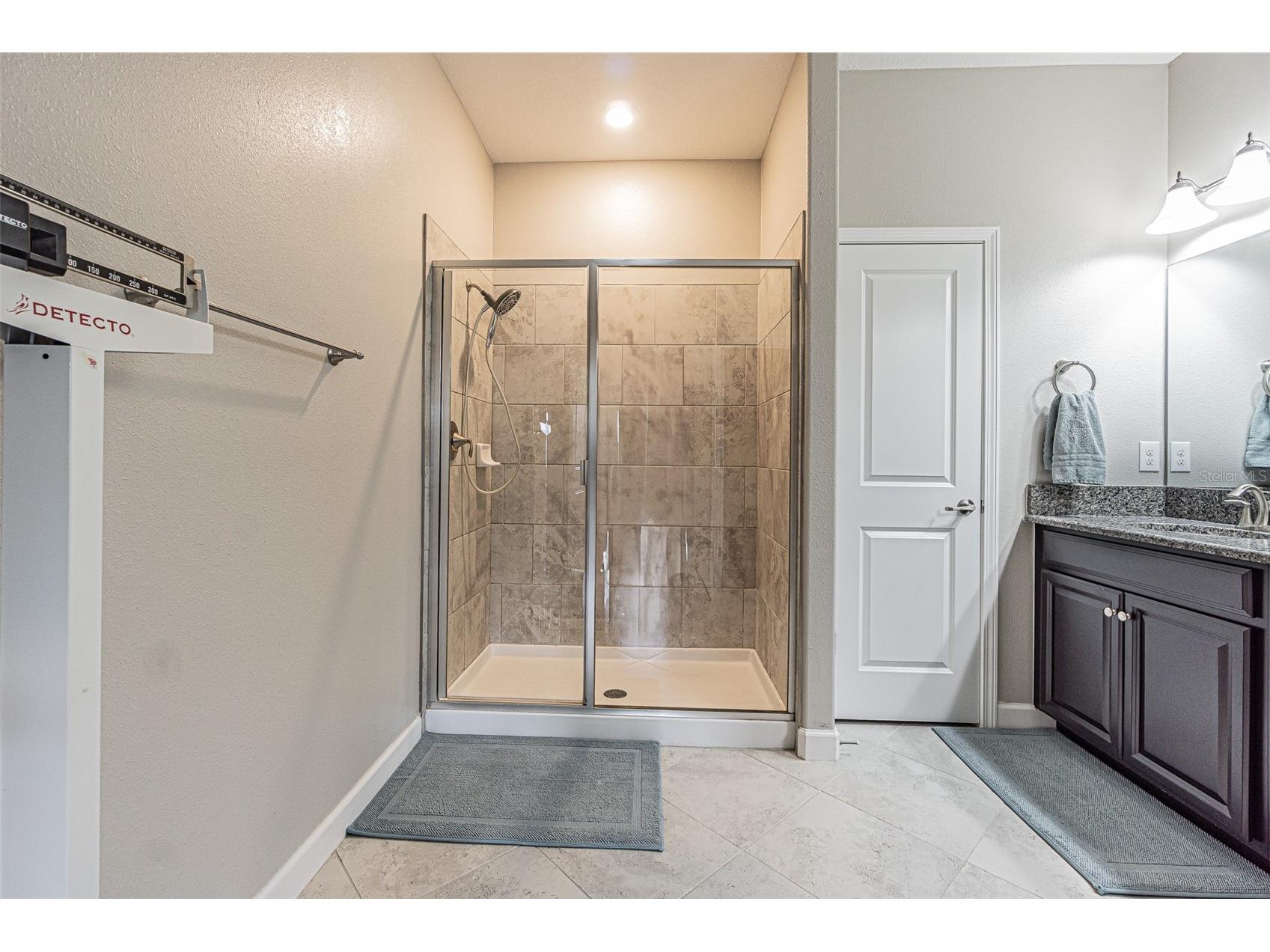 17124 Balance Cove Land O Lakes FL 34638 TB8417708 image21