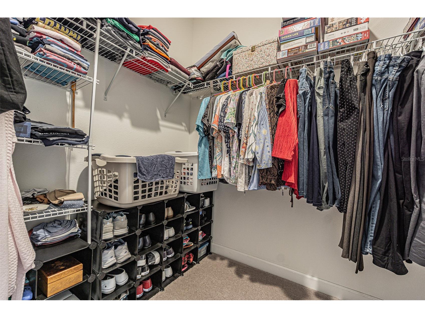 17124 Balance Cove Land O Lakes FL 34638 TB8417708 image22