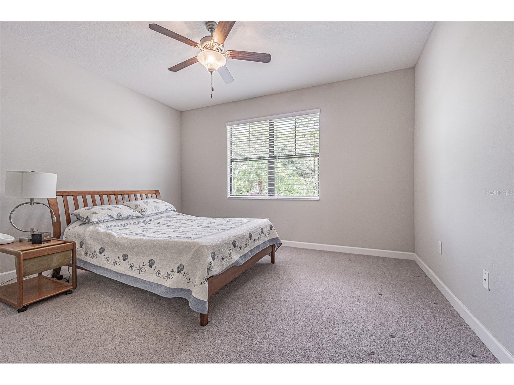 17124 Balance Cove Land O Lakes FL 34638 TB8417708 image25