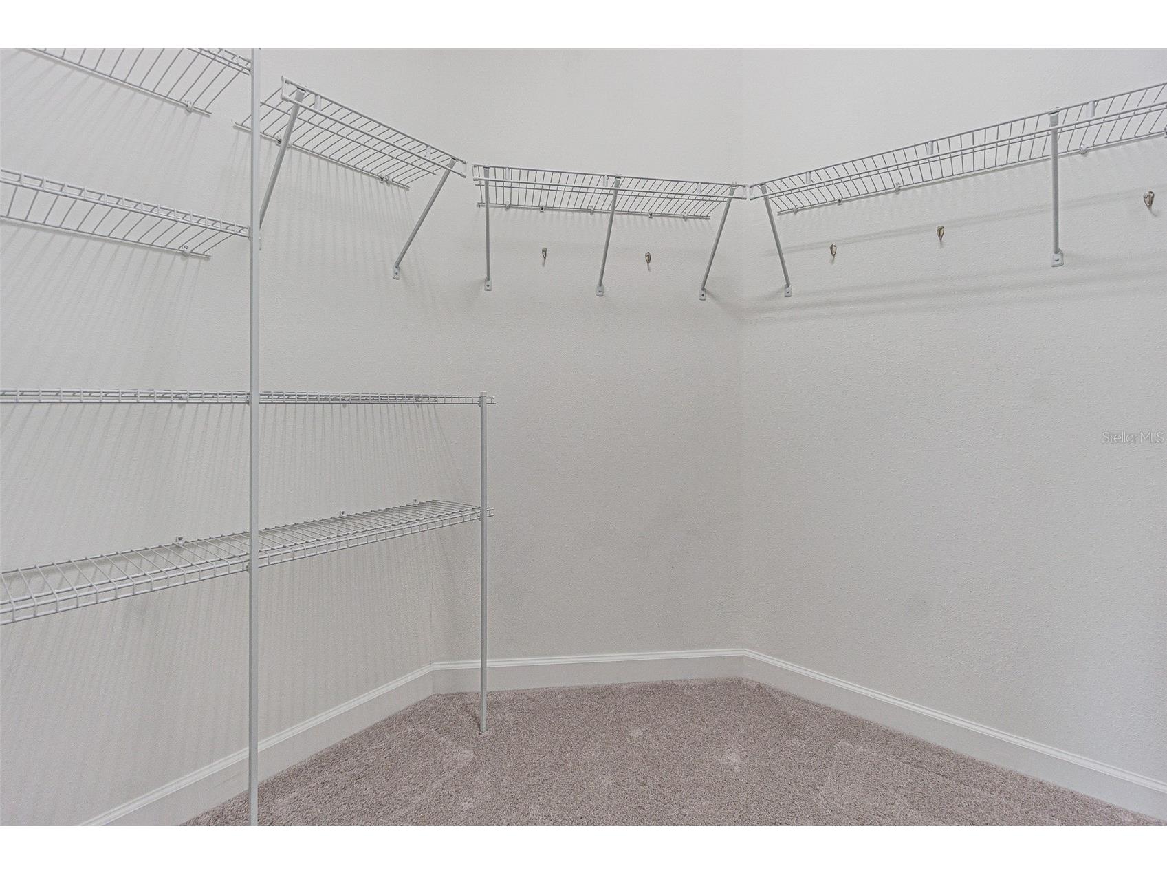 17124 Balance Cove Land O Lakes FL 34638 TB8417708 image28