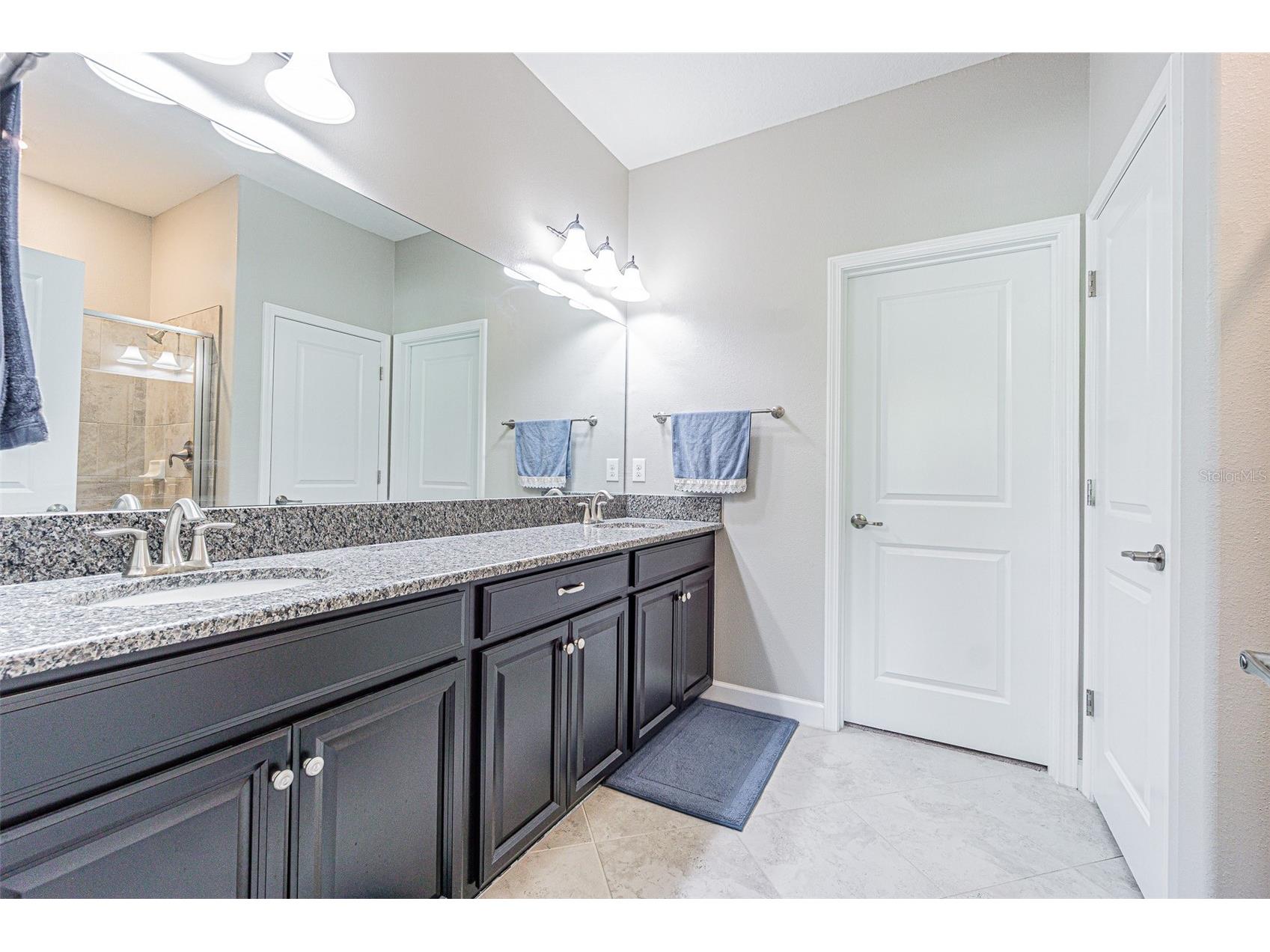 17124 Balance Cove Land O Lakes FL 34638 TB8417708 image29