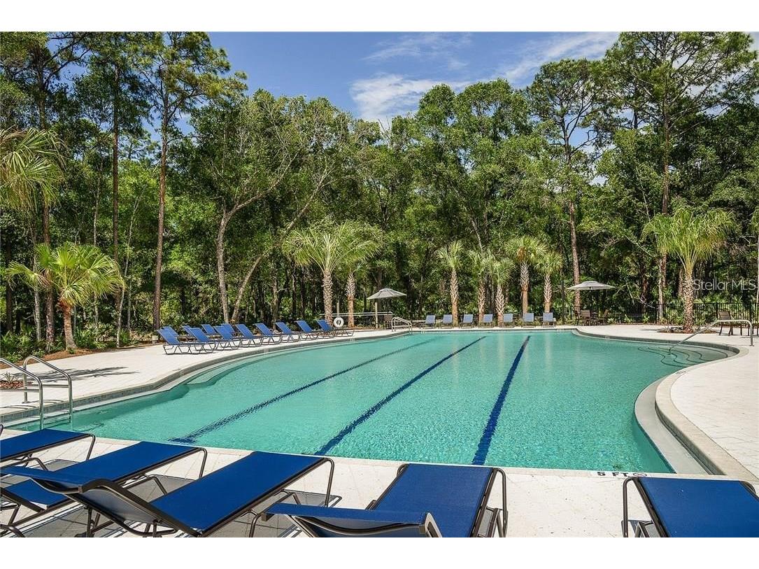 17124 Balance Cove Land O Lakes FL 34638 TB8417708 image38