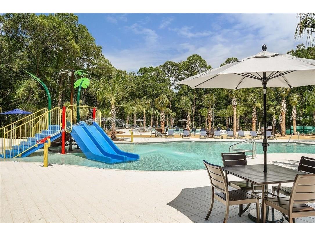 17124 Balance Cove Land O Lakes FL 34638 TB8417708 image39