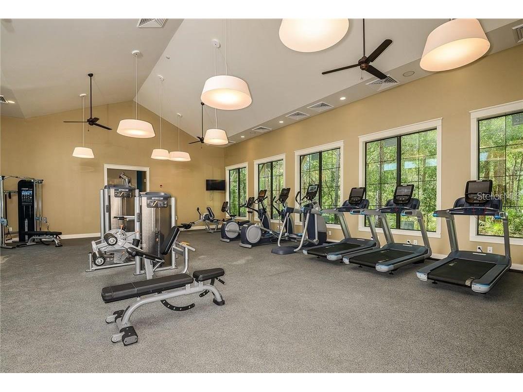 17124 Balance Cove Land O Lakes FL 34638 TB8417708 image40