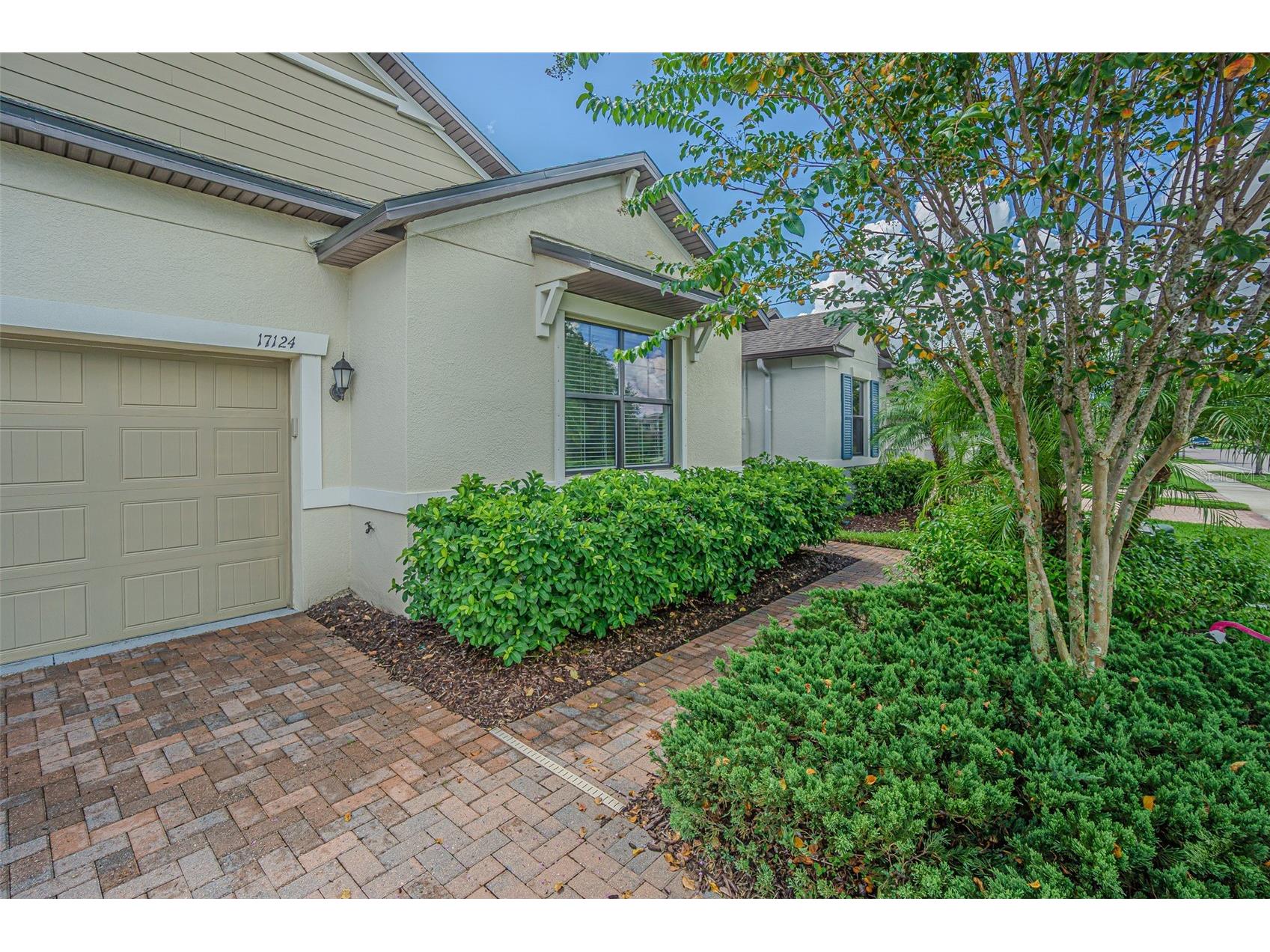 17124 Balance Cove Land O Lakes FL 34638 TB8417708 image7