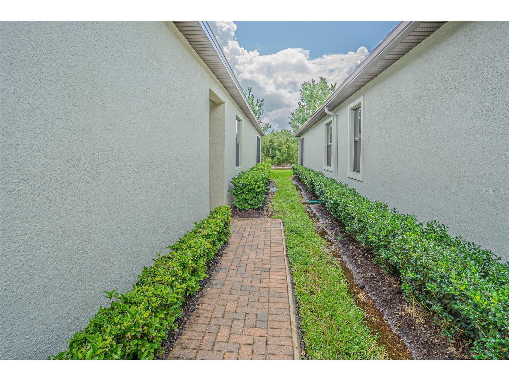 17124 Balance Cove Land O Lakes FL 34638 TB8417708 image8