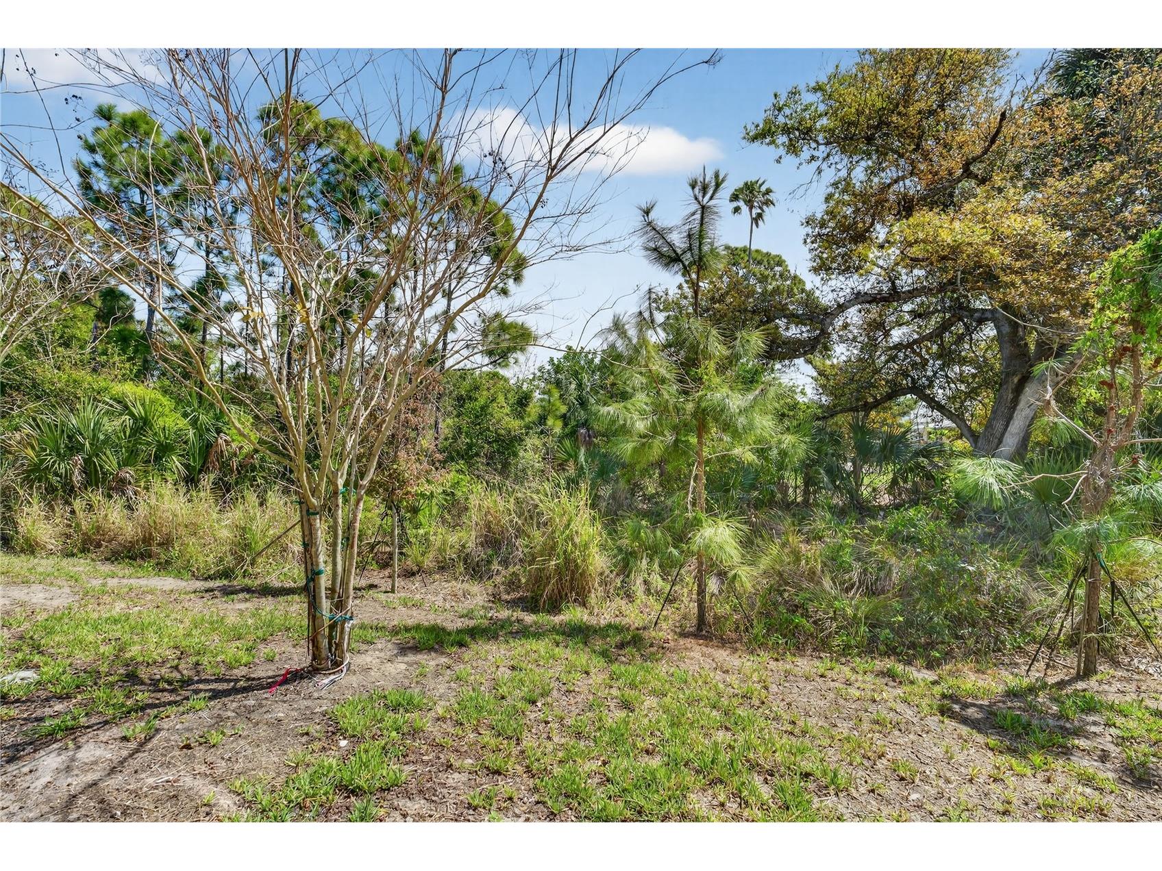 17124 Blowfish Drive Nokomis FL 34275 A4686751 image27