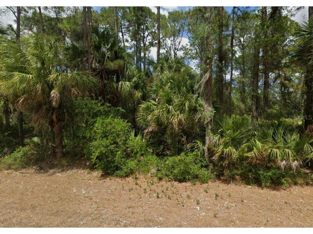 17124 Carson Avenue Port Charlotte FL 33948 T3469843 image1