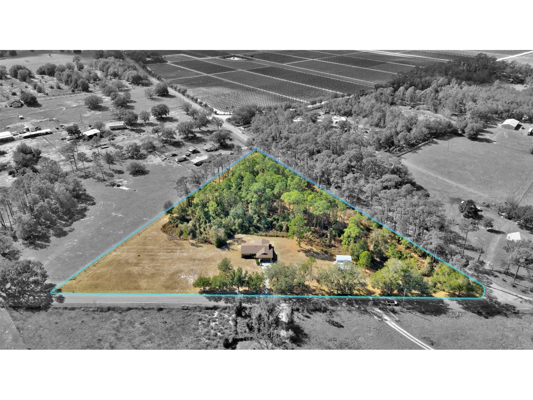 17125 Tuscanooga Road Groveland FL 34736 O6378295 image3