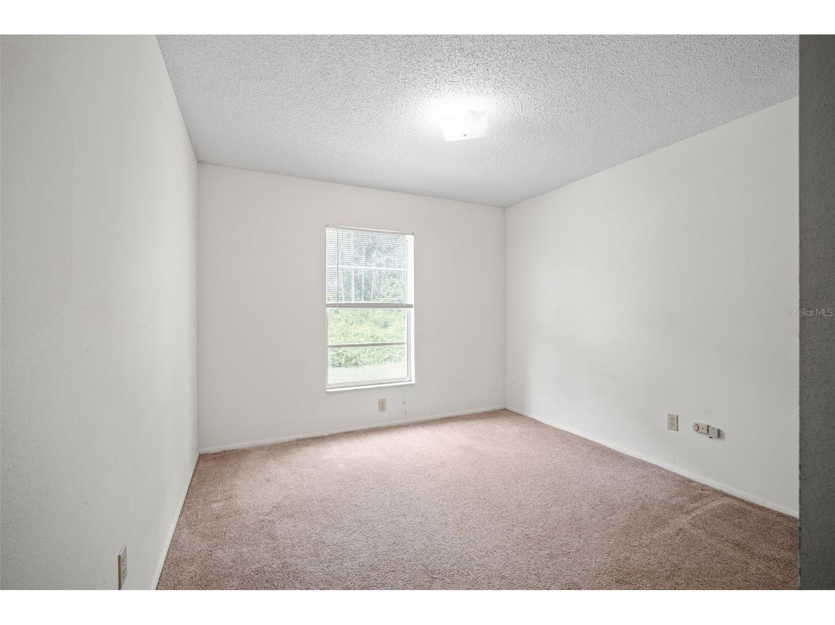 17125 Tuscanooga Road Groveland FL 34736 O6378295 image48