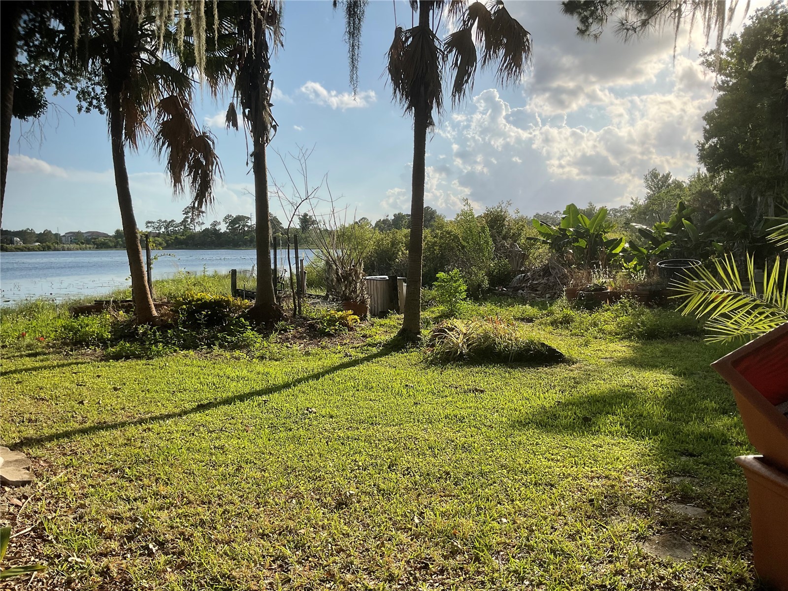17126 Arrowhead Boulevard Winter Garden FL 34787 - LAKE CHAPIN O6409499 image5