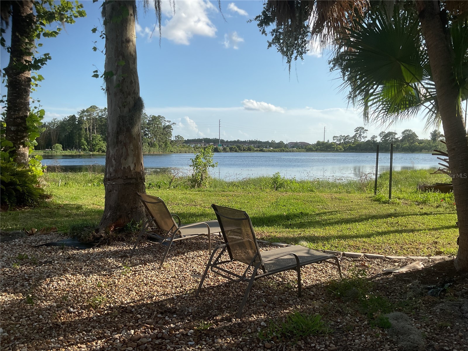 17126 Arrowhead Boulevard Winter Garden FL 34787 - LAKE CHAPIN O6409499 image6