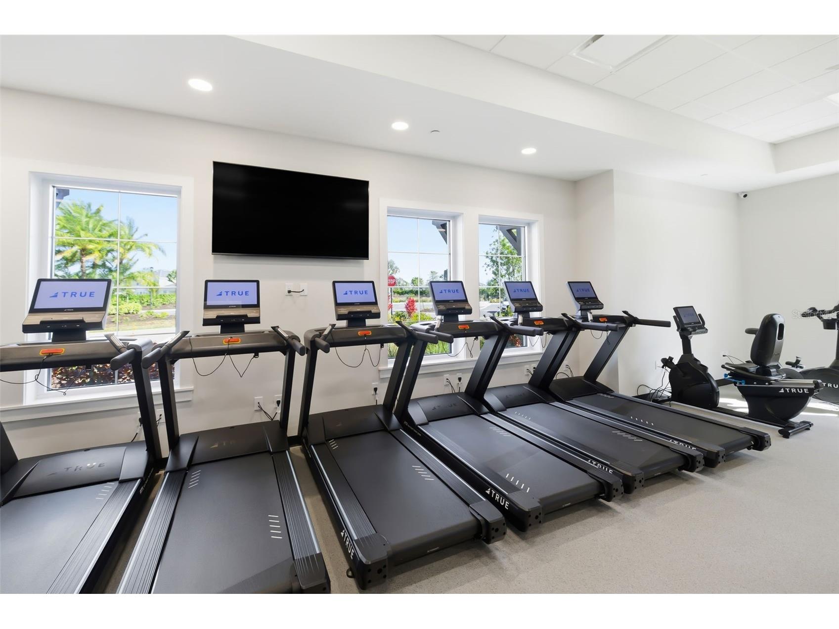 17127 Barnwood Place Bradenton FL 34211 A4683590 image60