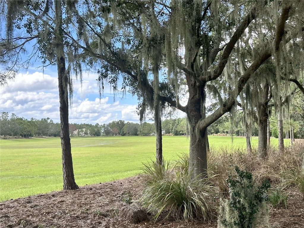 17127 Etruscan Lane Montverde FL 34756 G5101535 image10