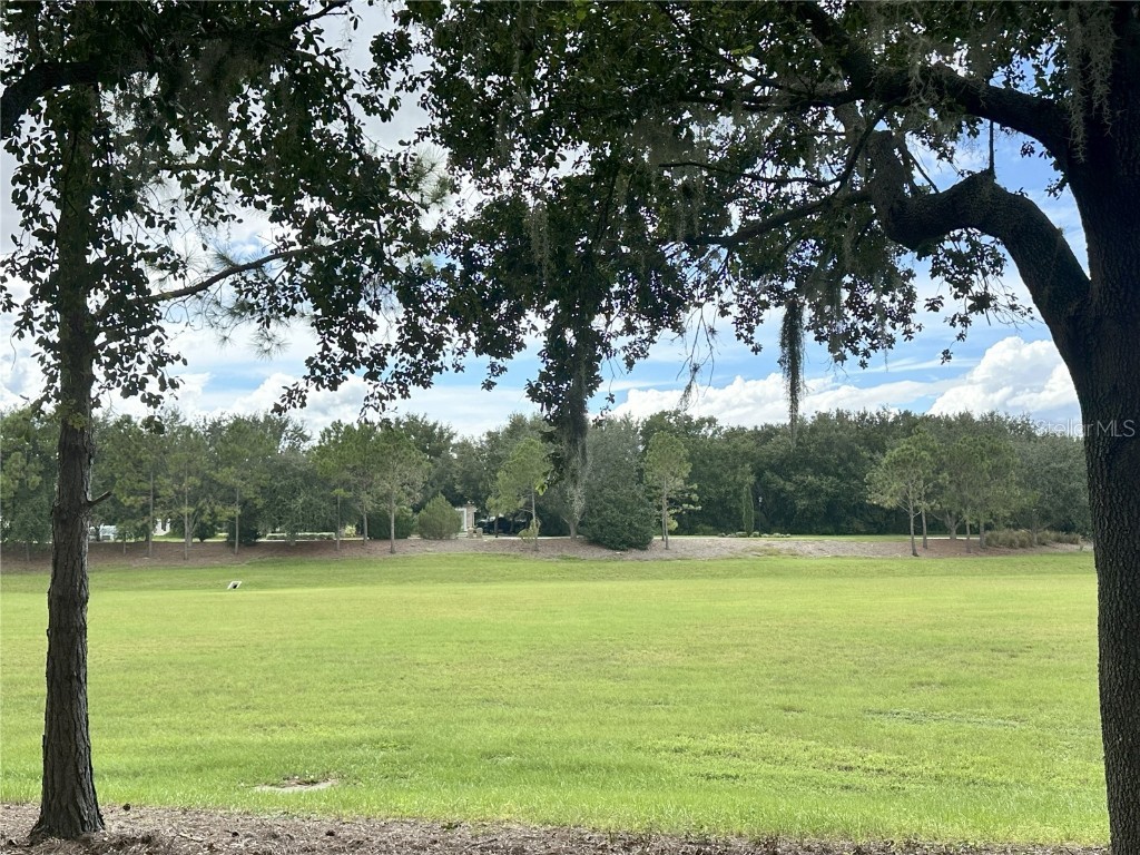 17127 Etruscan Lane Montverde FL 34756 G5101535 image11