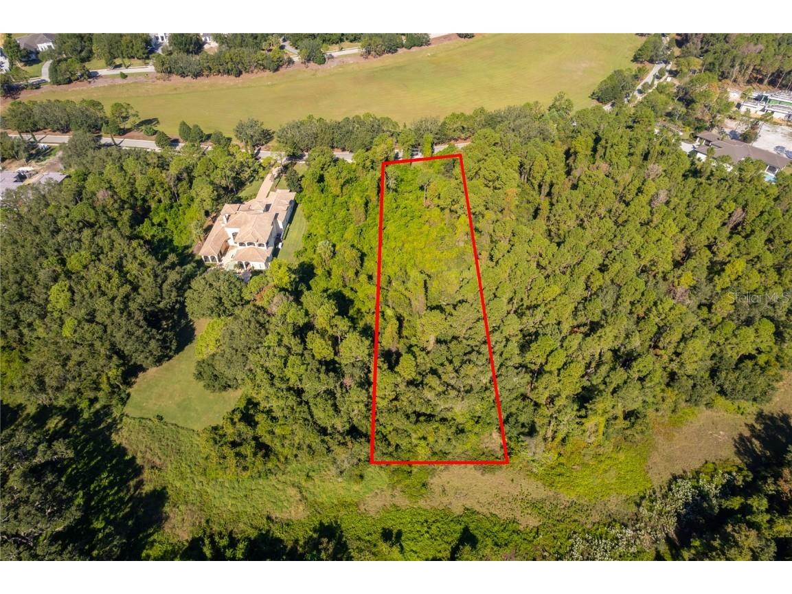 17127 Etruscan Lane Montverde FL 34756 G5101535 image2