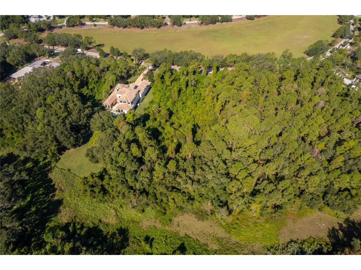 17127 Etruscan Lane Montverde FL 34756 G5101535 image5