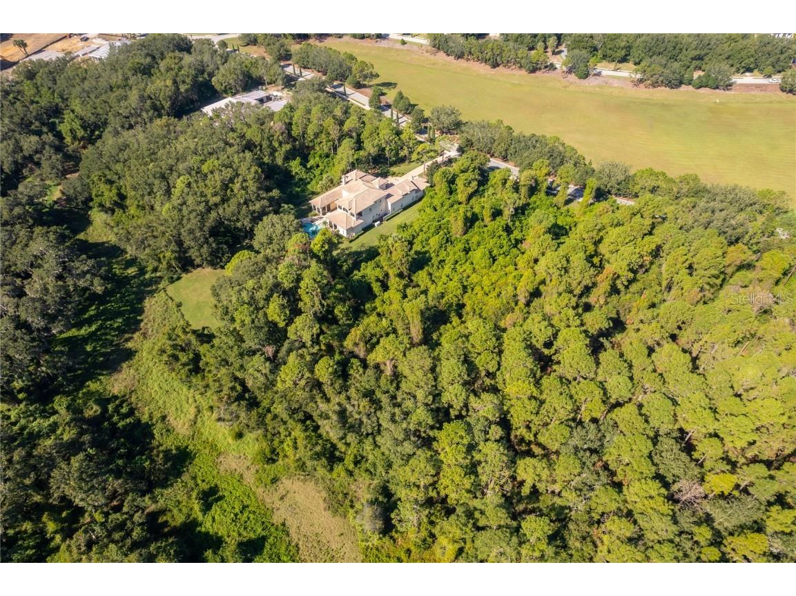 17127 Etruscan Lane Montverde FL 34756 G5101535 image6