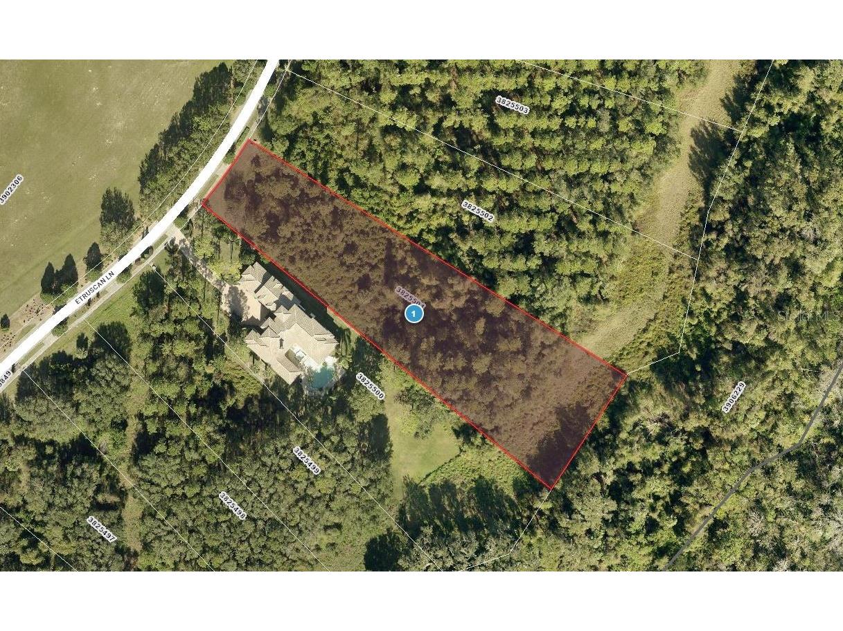 17127 Etruscan Lane Montverde FL 34756 G5101535 image7