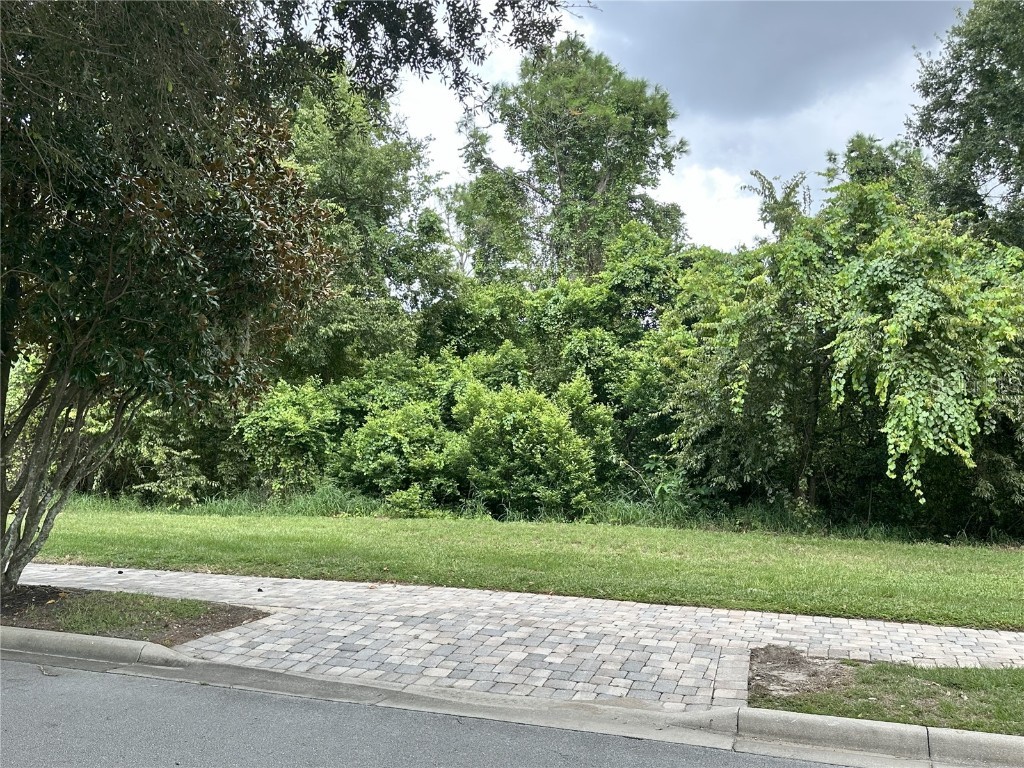 17127 Etruscan Lane Montverde FL 34756 G5101535 image8