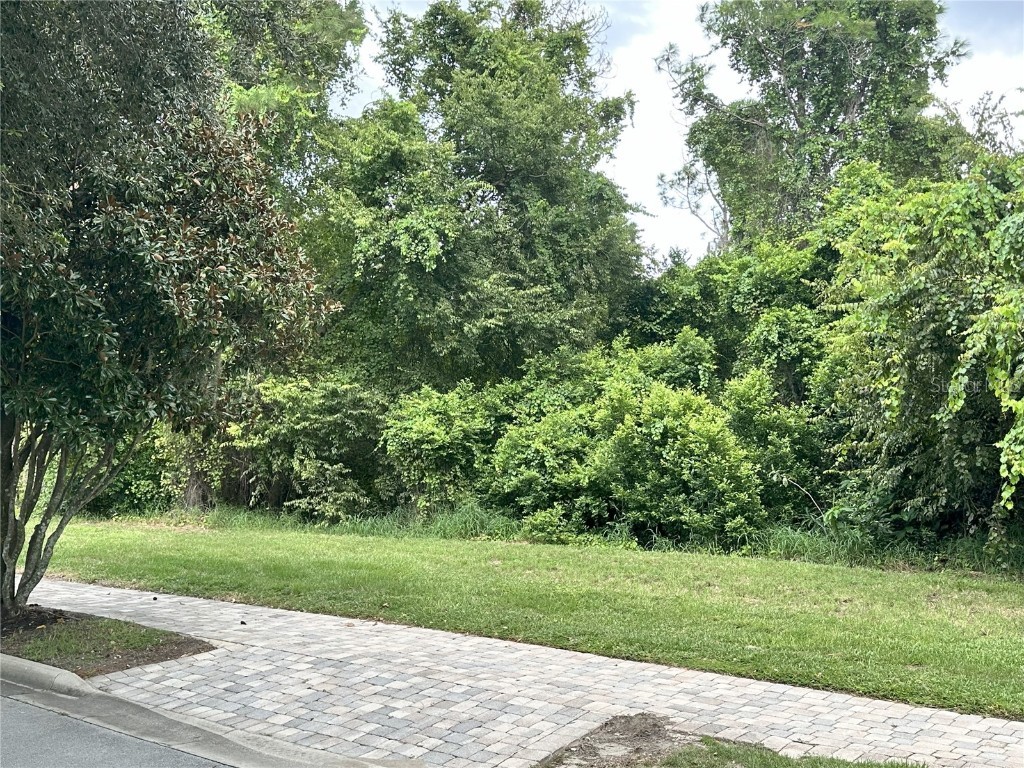 17127 Etruscan Lane Montverde FL 34756 G5101535 image9