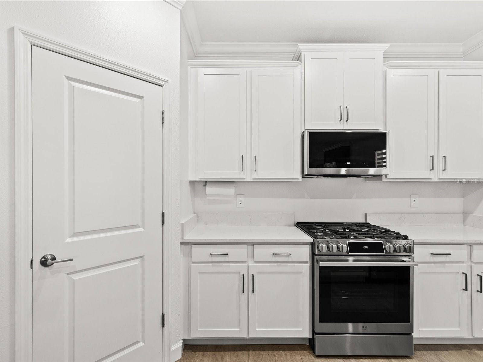 17127 Holly Well Avenue Wimauma FL 33598 OM727572 image19