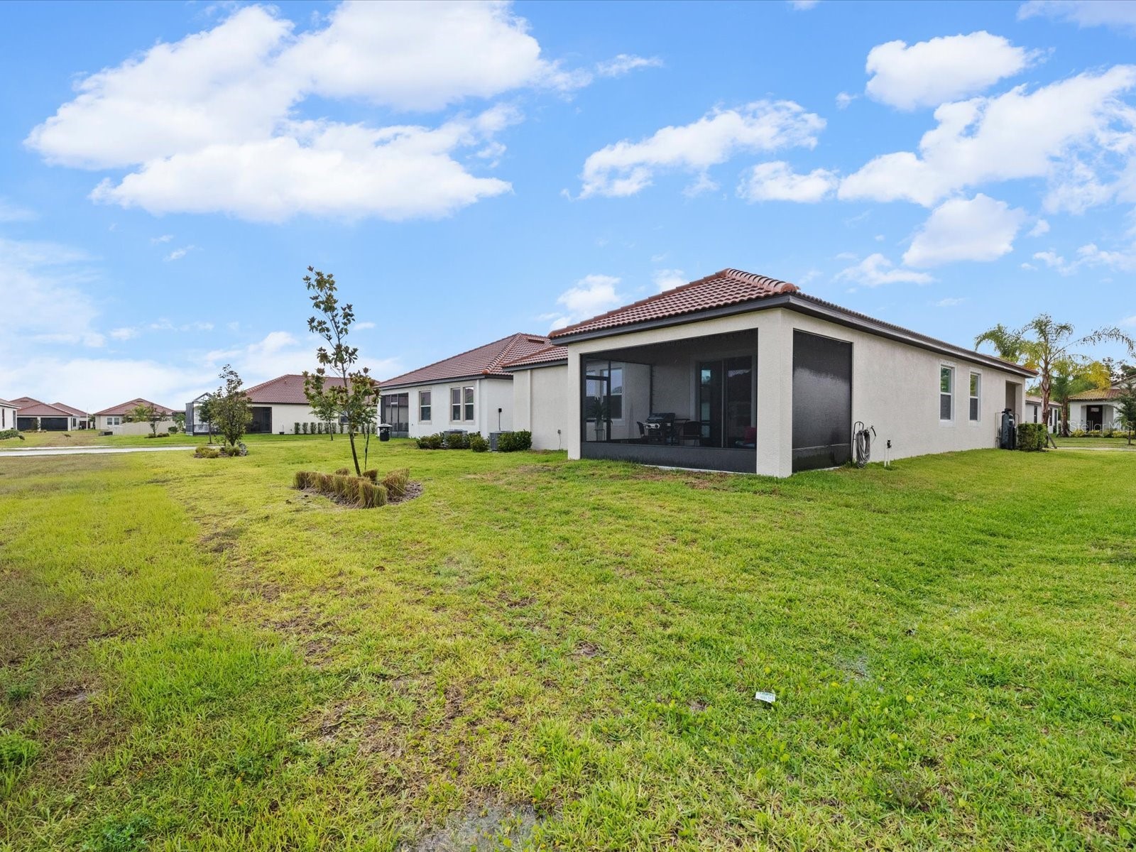 17127 Holly Well Avenue Wimauma FL 33598 OM727572 image37