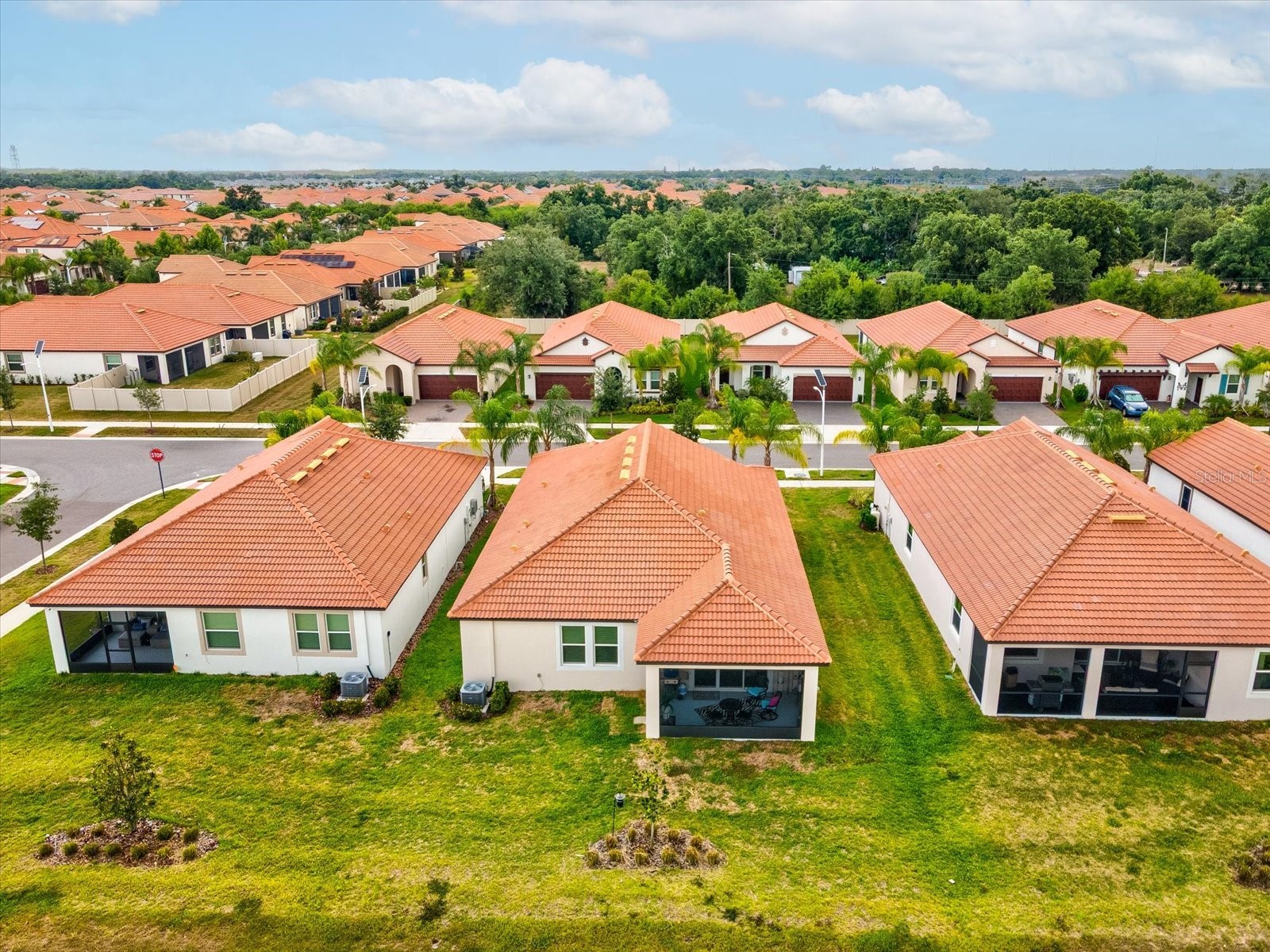 17127 Holly Well Avenue Wimauma FL 33598 OM727572 image38