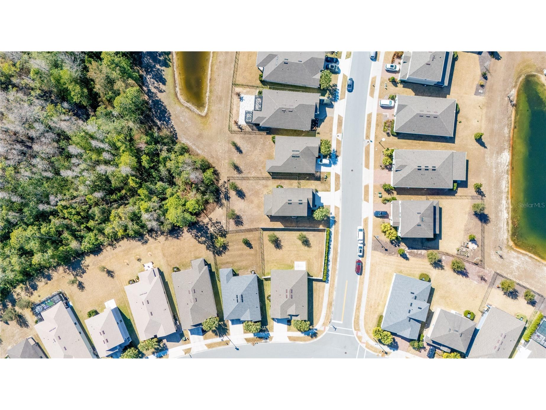 17128 Basswood Lane Clermont FL 34714 O6378342 image39